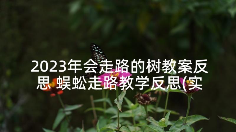 2023年会走路的树教案反思 蜈蚣走路教学反思(实用5篇)