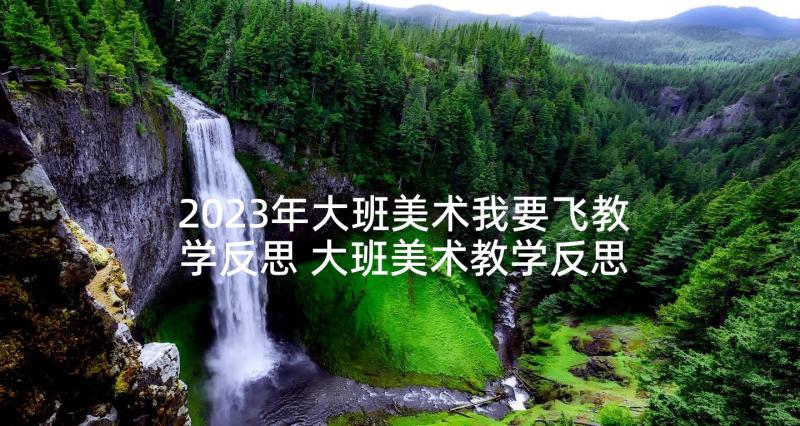 2023年大班美术我要飞教学反思 大班美术教学反思(模板10篇)