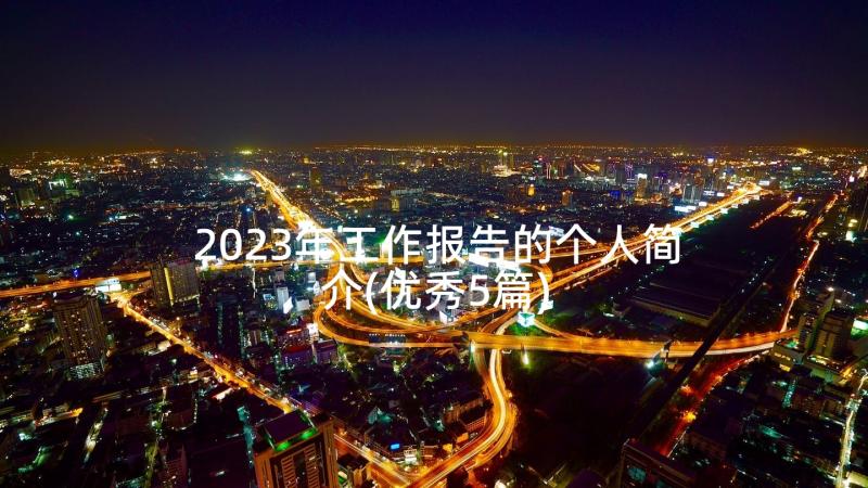 2023年工作报告的个人简介(优秀5篇)