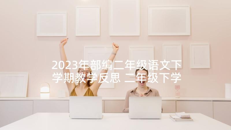 2023年部编二年级语文下学期教学反思 二年级下学期教学反思(模板5篇)