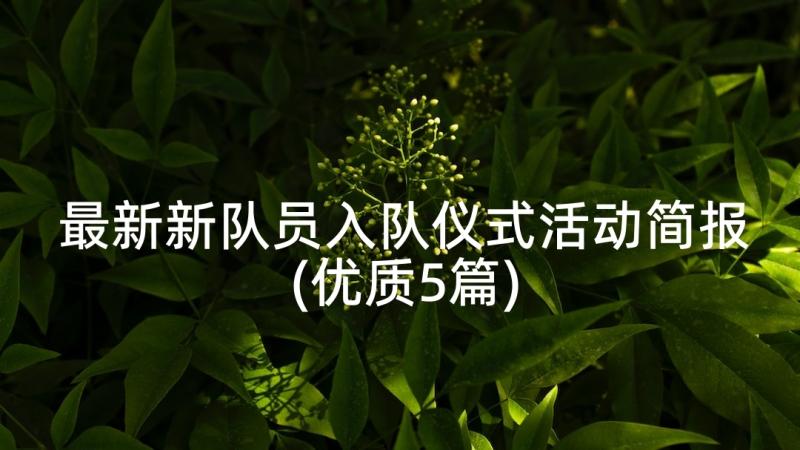 最新新队员入队仪式活动简报(优质5篇)