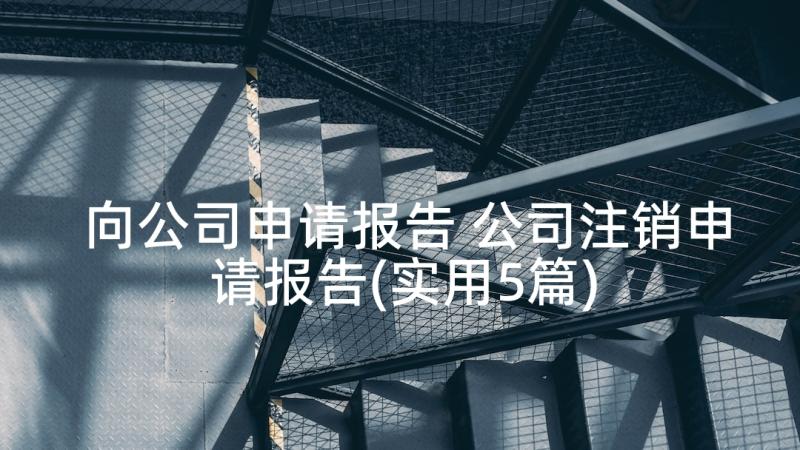 向公司申请报告 公司注销申请报告(实用5篇)