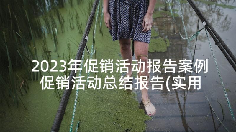 2023年促销活动报告案例 促销活动总结报告(实用5篇)