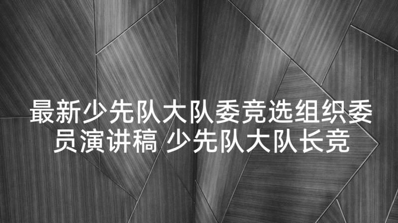 最新少先队大队委竞选组织委员演讲稿 少先队大队长竞选演讲稿(大全9篇)