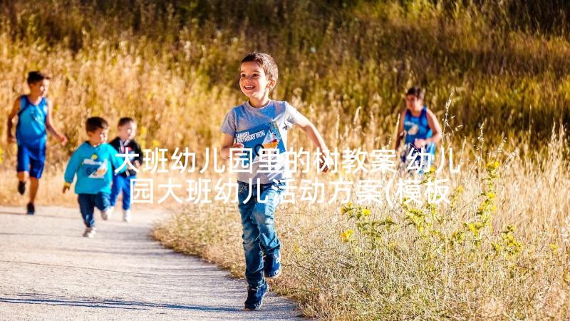 大班幼儿园里的树教案 幼儿园大班幼儿活动方案(模板5篇)