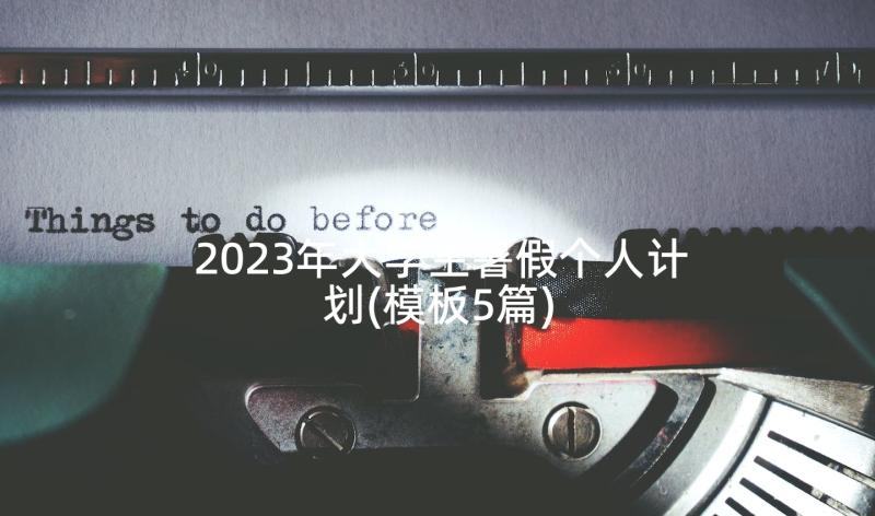 2023年大学生暑假个人计划(模板5篇)