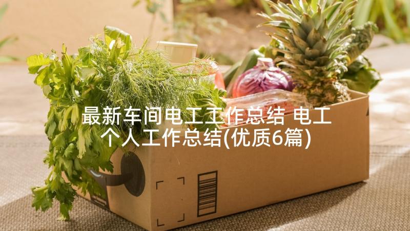 最新车间电工工作总结 电工个人工作总结(优质6篇)