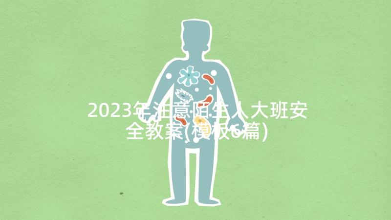 2023年注意陌生人大班安全教案(模板6篇)