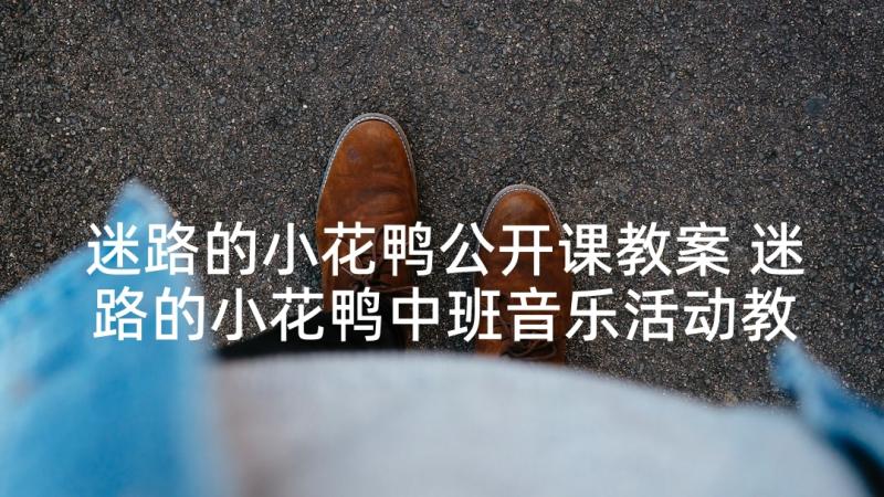 迷路的小花鸭公开课教案 迷路的小花鸭中班音乐活动教案(大全5篇)