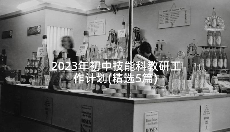 2023年初中技能科教研工作计划(精选5篇)