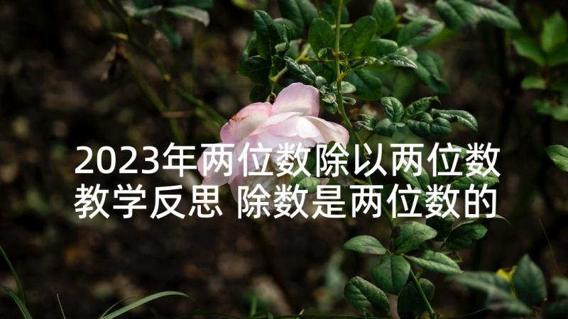 2023年两位数除以两位数教学反思 除数是两位数的除法教学反思(汇总5篇)