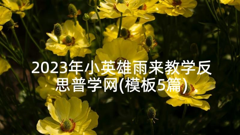 2023年小英雄雨来教学反思普学网(模板5篇)