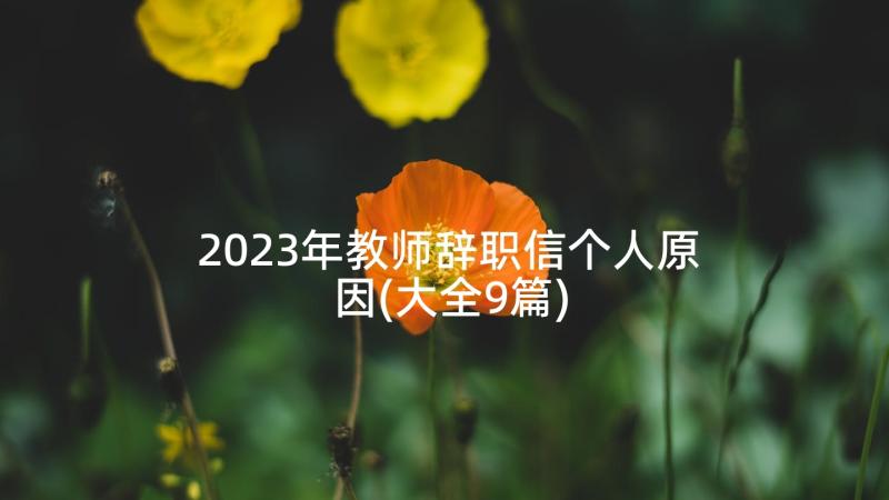 2023年教师辞职信个人原因(大全9篇)