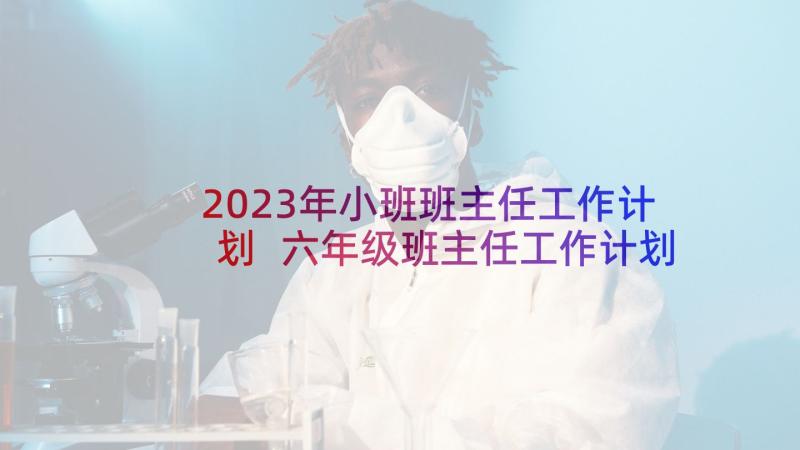 2023年小班班主任工作计划 六年级班主任工作计划(精选9篇)