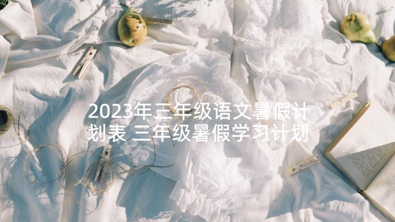 2023年三年级语文暑假计划表 三年级暑假学习计划(优秀5篇)