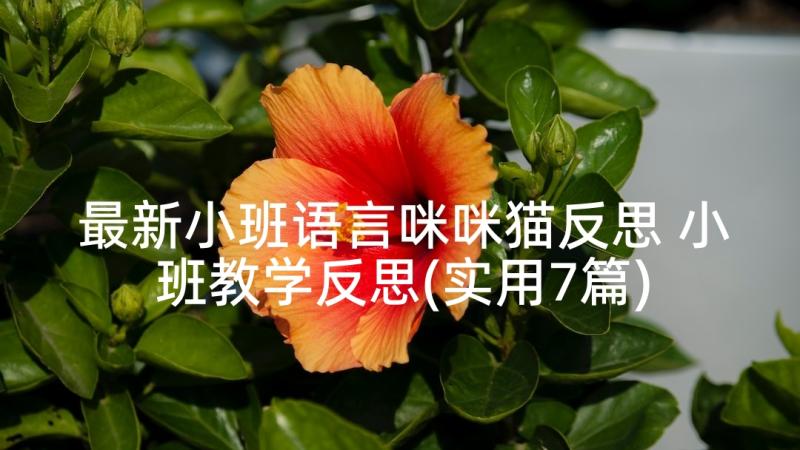 最新小班语言咪咪猫反思 小班教学反思(实用7篇)