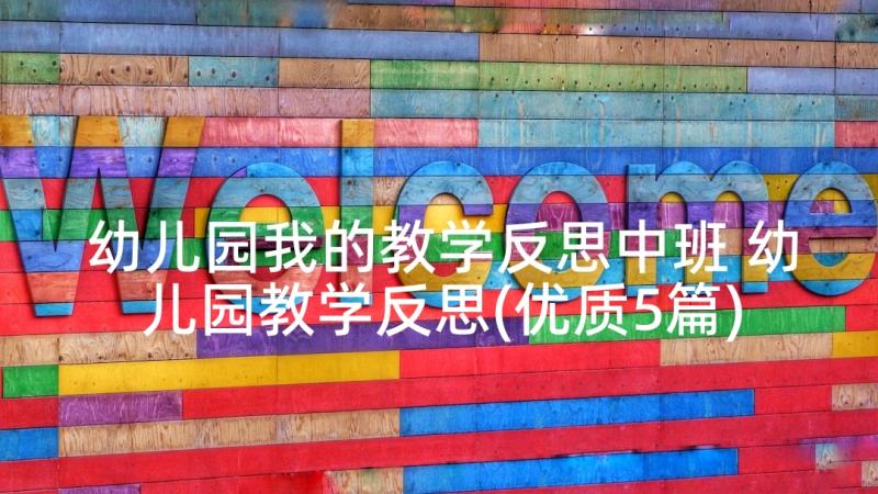 幼儿园我的教学反思中班 幼儿园教学反思(优质5篇)