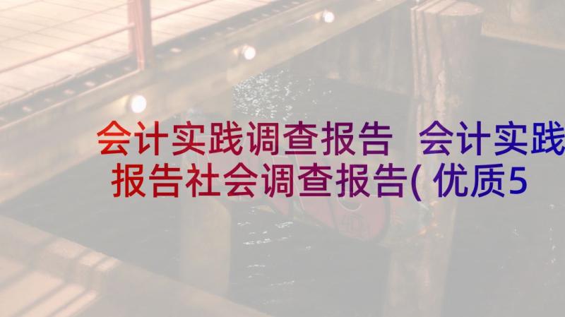 会计实践调查报告 会计实践报告社会调查报告(优质5篇)