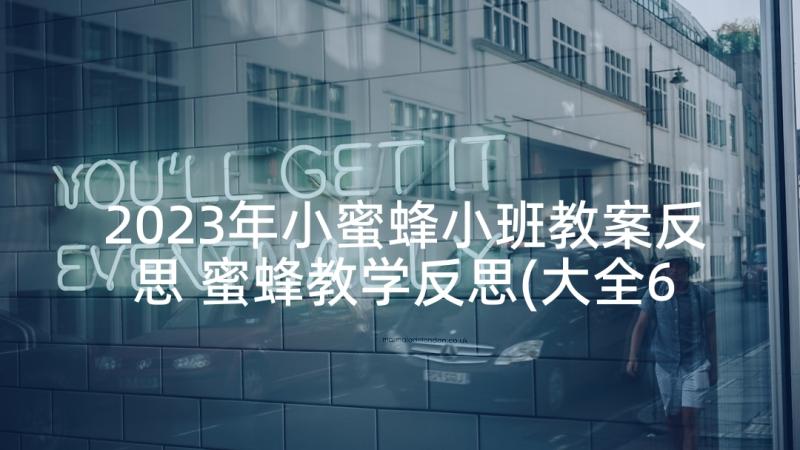 2023年小蜜蜂小班教案反思 蜜蜂教学反思(大全6篇)