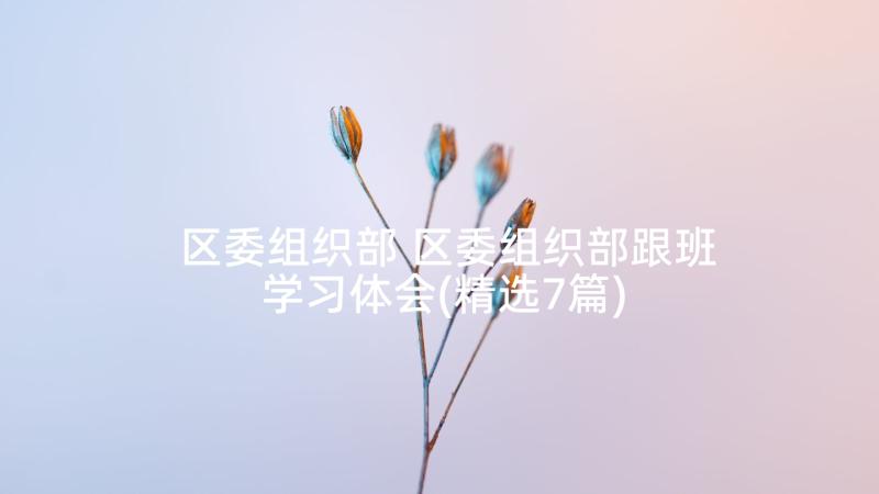 区委组织部 区委组织部跟班学习体会(精选7篇)