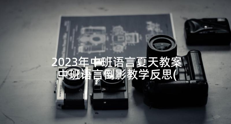 2023年中班语言夏天教案 中班语言倒影教学反思(大全9篇)