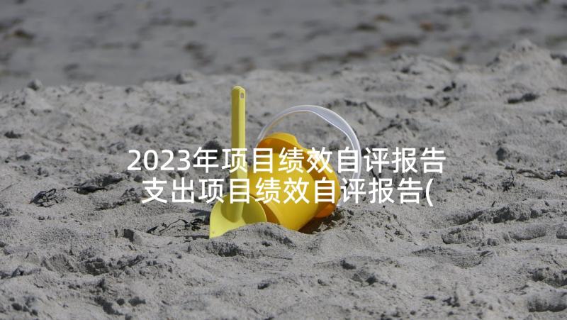 2023年项目绩效自评报告 支出项目绩效自评报告(实用8篇)