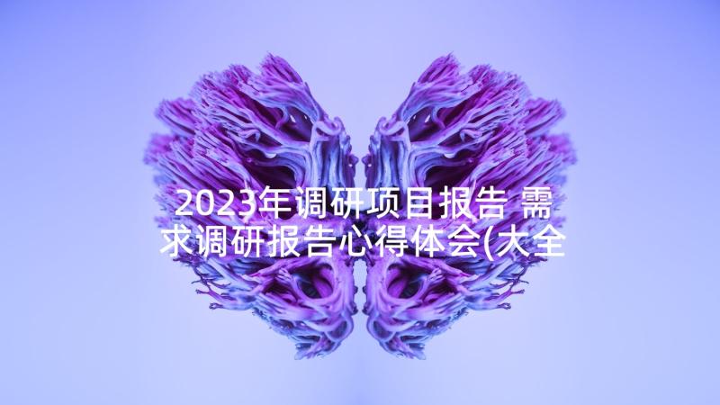 2023年调研项目报告 需求调研报告心得体会(大全6篇)