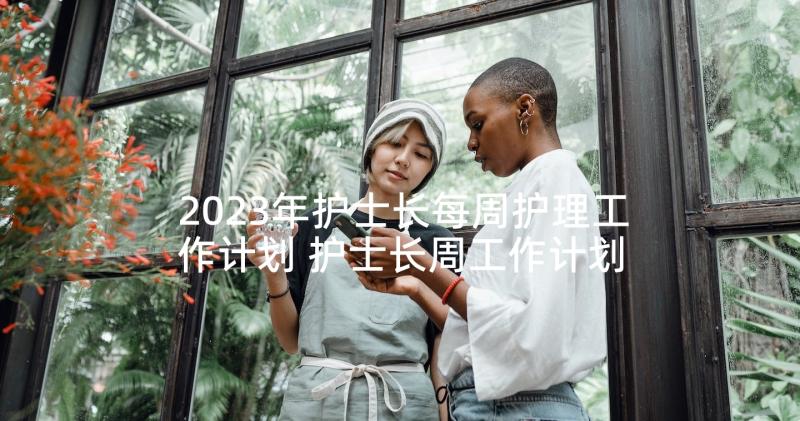 2023年护士长每周护理工作计划 护士长周工作计划(汇总5篇)