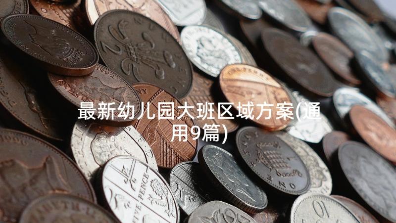 最新幼儿园大班区域方案(通用9篇)