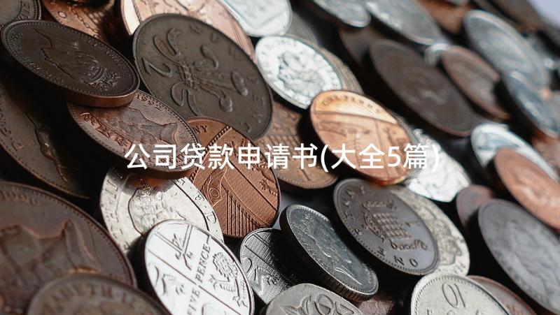 公司贷款申请书(大全5篇)