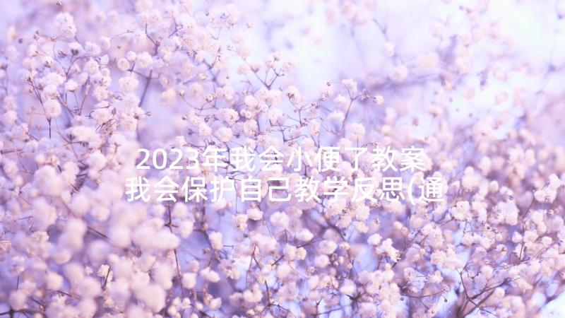 2023年我会小便了教案 我会保护自己教学反思(通用5篇)