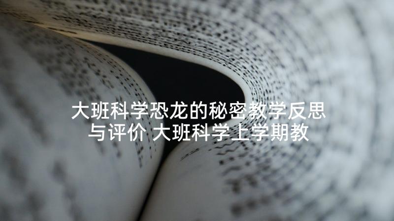 大班科学恐龙的秘密教学反思与评价 大班科学上学期教案及教学反思声音的秘密(模板5篇)