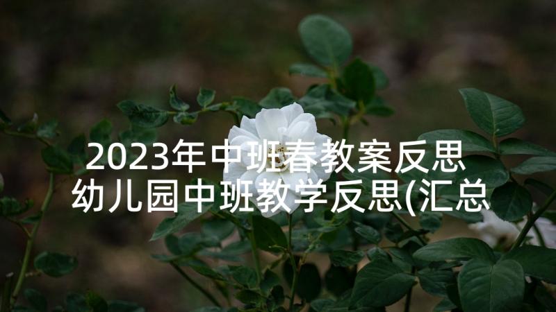 2023年中班春教案反思 幼儿园中班教学反思(汇总10篇)