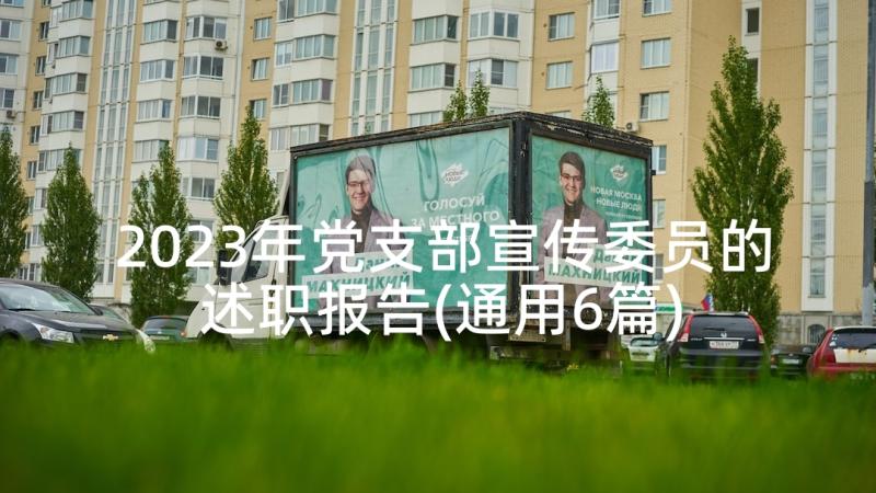 2023年党支部宣传委员的述职报告(通用6篇)