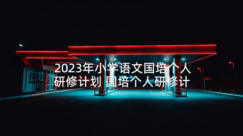 2023年小学语文国培个人研修计划 国培个人研修计划(精选7篇)