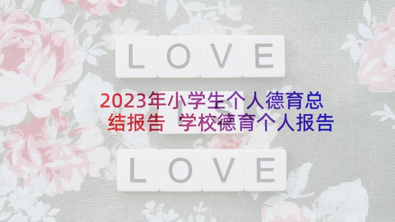 2023年小学生个人德育总结报告 学校德育个人报告总结(大全5篇)