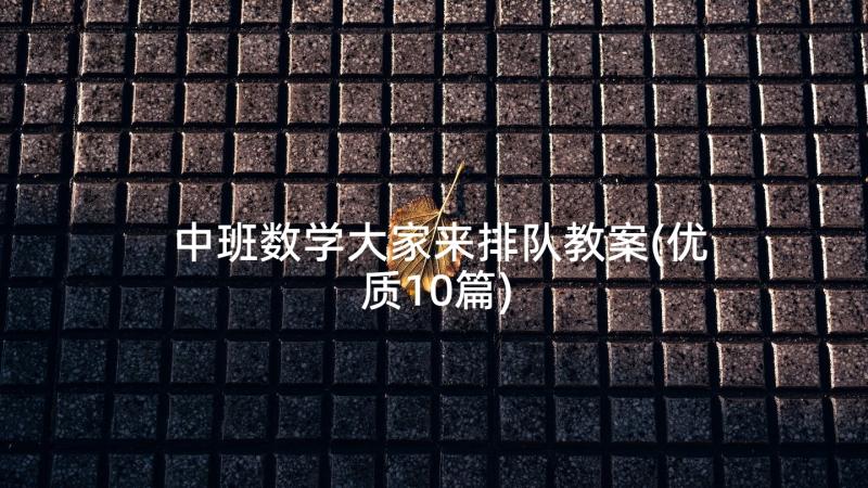 中班数学大家来排队教案(优质10篇)