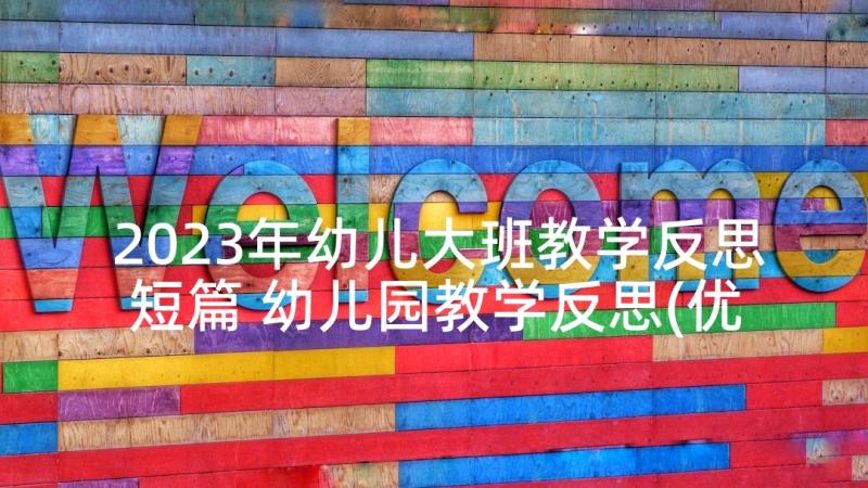 2023年幼儿大班教学反思短篇 幼儿园教学反思(优质9篇)