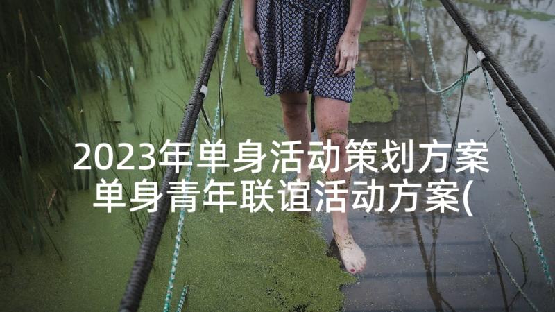 2023年单身活动策划方案 单身青年联谊活动方案(模板8篇)