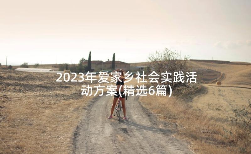 2023年爱家乡社会实践活动方案(精选6篇)
