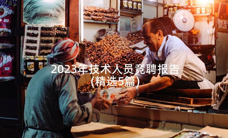 2023年技术人员竞聘报告(精选5篇)