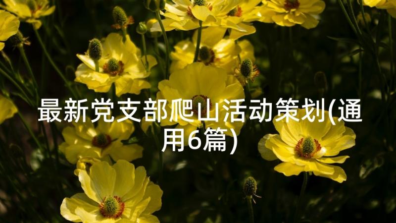 最新党支部爬山活动策划(通用6篇)