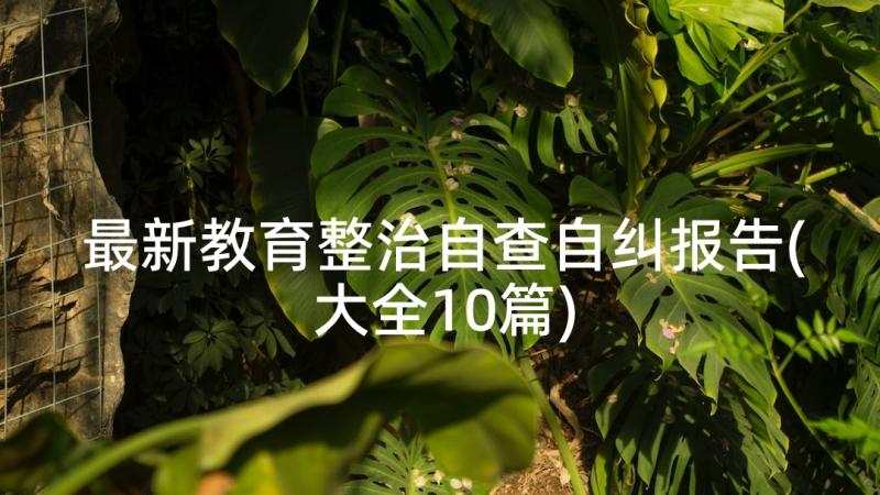 最新教育整治自查自纠报告(大全10篇)