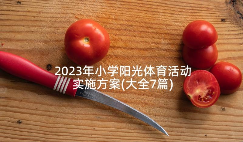 2023年小学阳光体育活动实施方案(大全7篇)