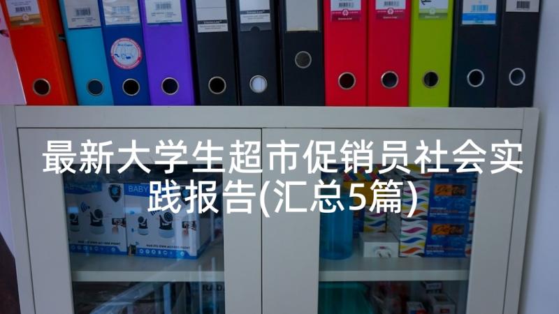 最新大学生超市促销员社会实践报告(汇总5篇)