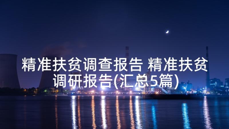 精准扶贫调查报告 精准扶贫调研报告(汇总5篇)