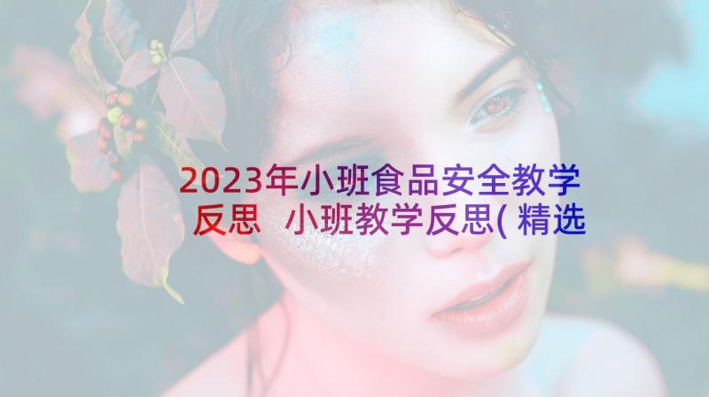 2023年小班食品安全教学反思 小班教学反思(精选6篇)