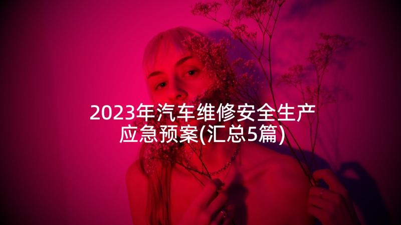 2023年汽车维修安全生产应急预案(汇总5篇)