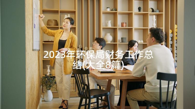 2023年环保局财务工作总结(大全8篇)