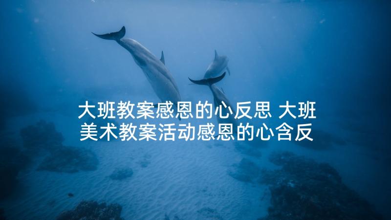 大班教案感恩的心反思 大班美术教案活动感恩的心含反思(实用5篇)